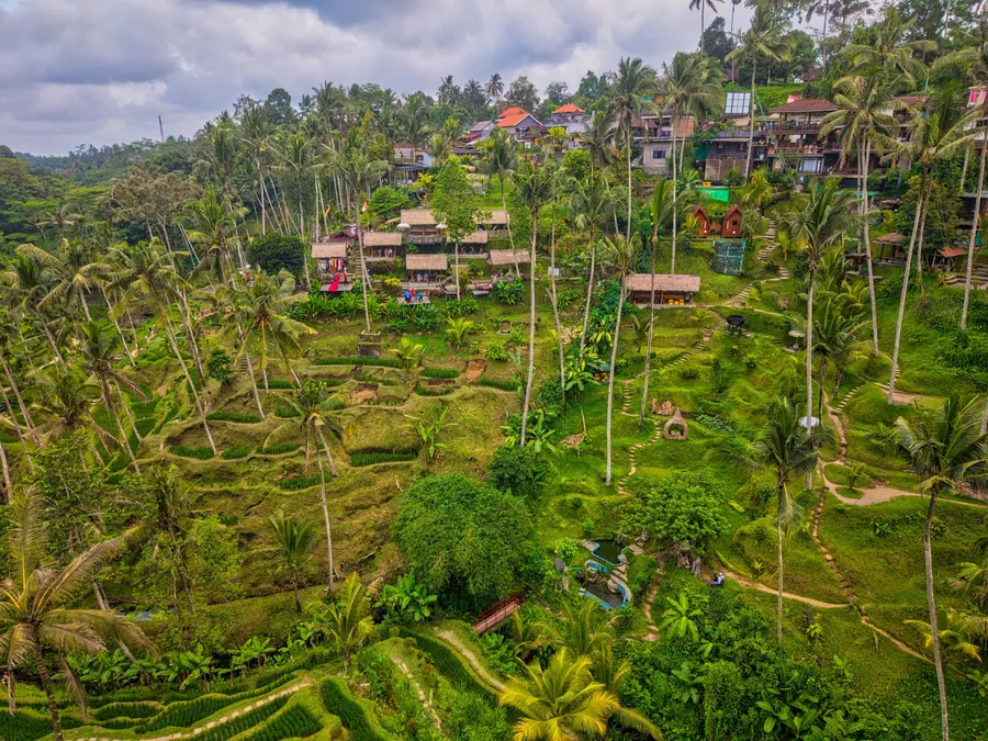 Le risaie a terrazza di Tegallalang, a Bali