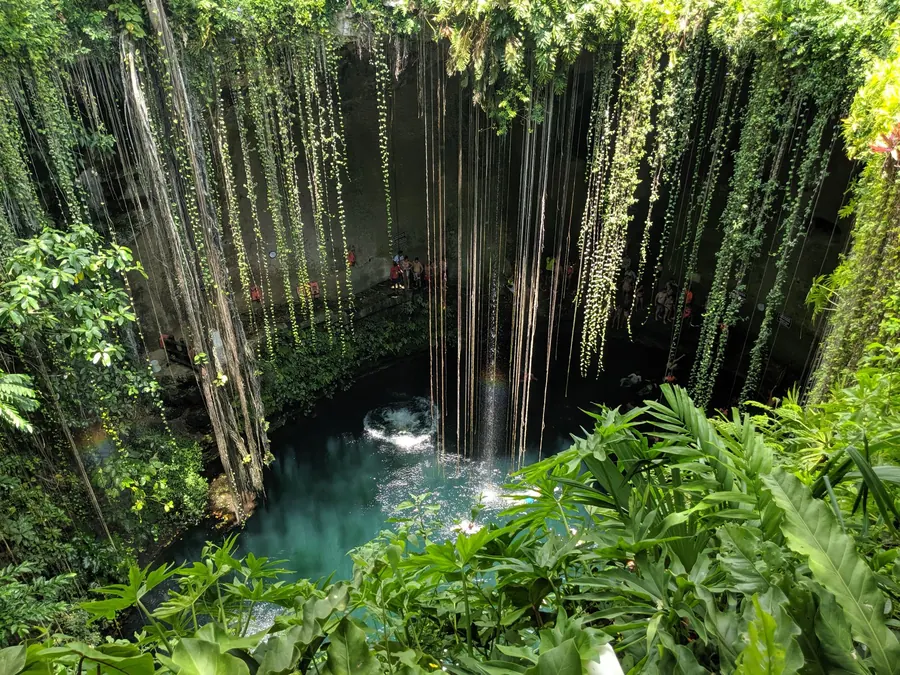 Il cenote Ik Kil nello Yucatán, in Messico, con le radici che scendono verso l'acqua